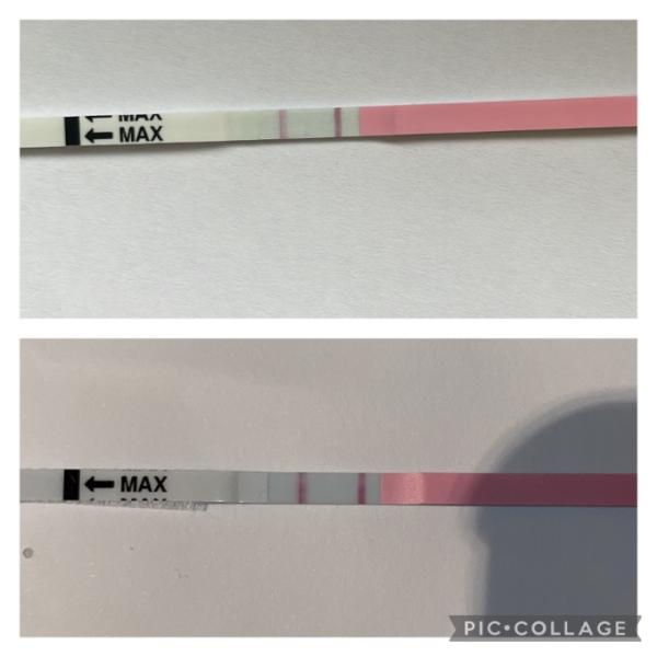 Bild zu Ovus - Kinderwunsch - was tun, um schwanger zu werden?