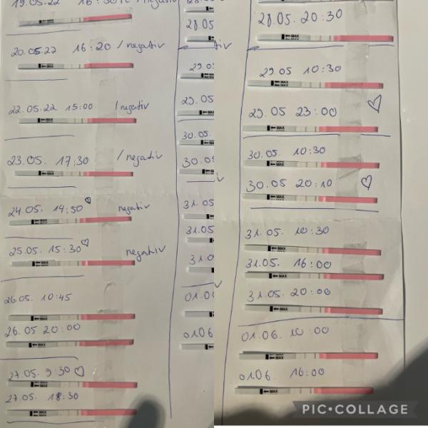 Bild zu Was haltet ihr von meinen Ovus - Kinderwunsch - was tun, um schwanger zu werden?