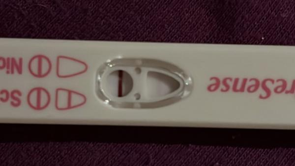 Bild zu Ist der Test positiv - Kinderwunsch - was tun, um schwanger zu werden?