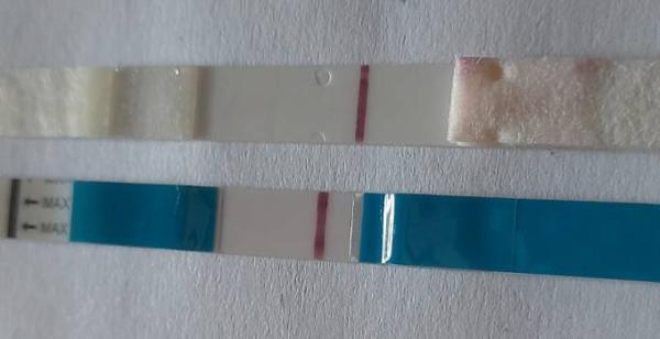 Bild zu Facelle es+10 - Kinderwunsch - was tun, um schwanger zu werden?