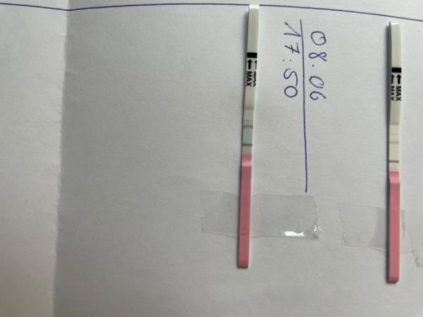 Bild zu Orakeln - Kinderwunsch - was tun, um schwanger zu werden?