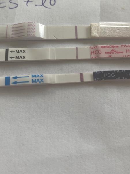 Bild zu ES+12 und nur zarte Linien ! Wer war dann trotzdem schwanger und ging gut aus ? - Kinderwunsch - was tun, um schwanger zu werden?