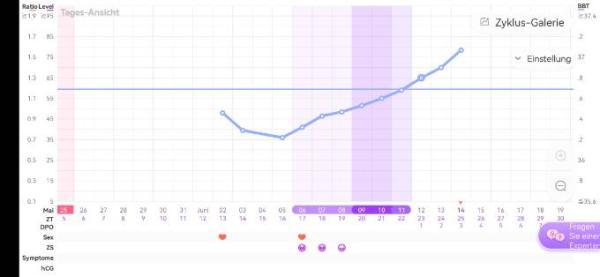 Bild zu Hilfe, wann ES??? - Kinderwunsch - was tun, um schwanger zu werden?
