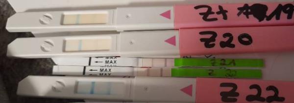 Bild zu Ovolationstest - Kinderwunsch - was tun, um schwanger zu werden?