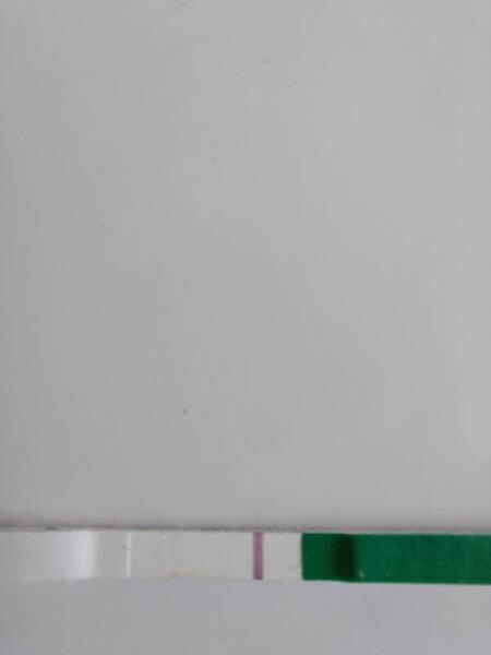 Bild zu Färbt ovu auf sst ab - Kinderwunsch - was tun, um schwanger zu werden?