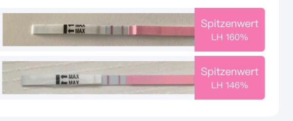 Bild zu Ovu - Kinderwunsch - was tun, um schwanger zu werden?