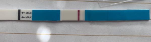 Bild zu Facelle ES+8 bzw. ES+9 positiv? - Kinderwunsch - was tun, um schwanger zu werden?