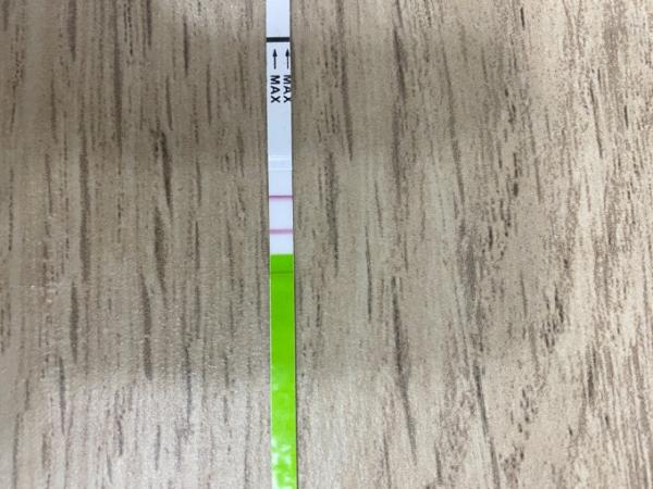 Bild zu Ovu Test positiv ab wann GV? - Kinderwunsch - was tun, um schwanger zu werden?