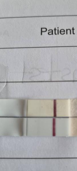 Bild zu VL??? - Kinderwunsch - was tun, um schwanger zu werden?