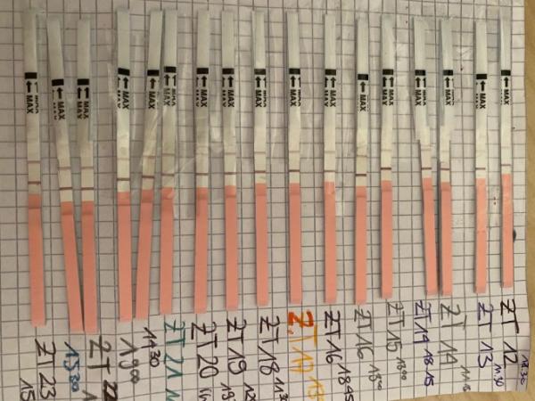 Bild zu Ovulationstest - Kinderwunsch - was tun, um schwanger zu werden?