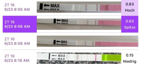 Bild zu Ovulationstest positiv ? - Kinderwunsch - was tun, um schwanger zu werden?