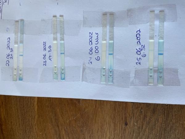 Bild zu Symptome aber negativ - Kinderwunsch - was tun, um schwanger zu werden?