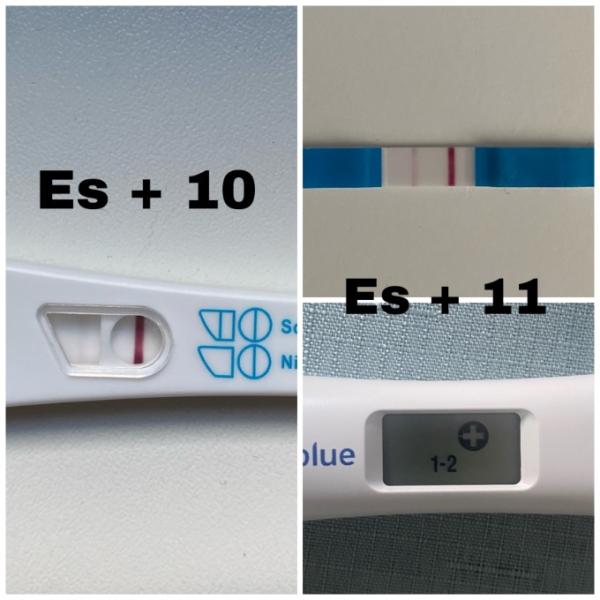 Bild zu Habe ich falsch gerechnet ? - Kinderwunsch - was tun, um schwanger zu werden?