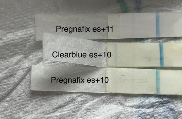Bild zu 3 verschiedene SST positiv, facelle weiterhin negativ. - Kinderwunsch - was tun, um schwanger zu werden?