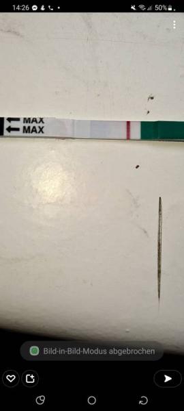 Bild zu Schwanger ? - Kinderwunsch - was tun, um schwanger zu werden?