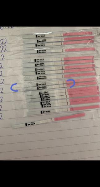 Bild zu Ovu Chaos - Kinderwunsch - was tun, um schwanger zu werden?