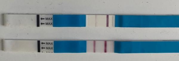 Bild zu Sieht der für NMT gut aus ? - Kinderwunsch - was tun, um schwanger zu werden?