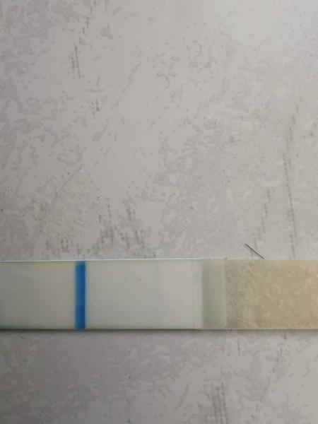 Bild zu Positiv oder vl? - Kinderwunsch - was tun, um schwanger zu werden?