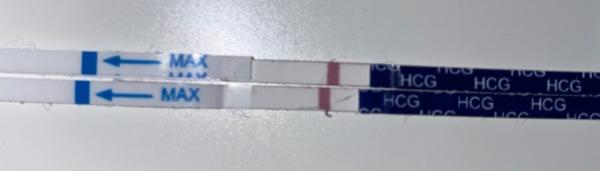 Bild zu Ohne step positiv oder Prägelinie? - Kinderwunsch - was tun, um schwanger zu werden?