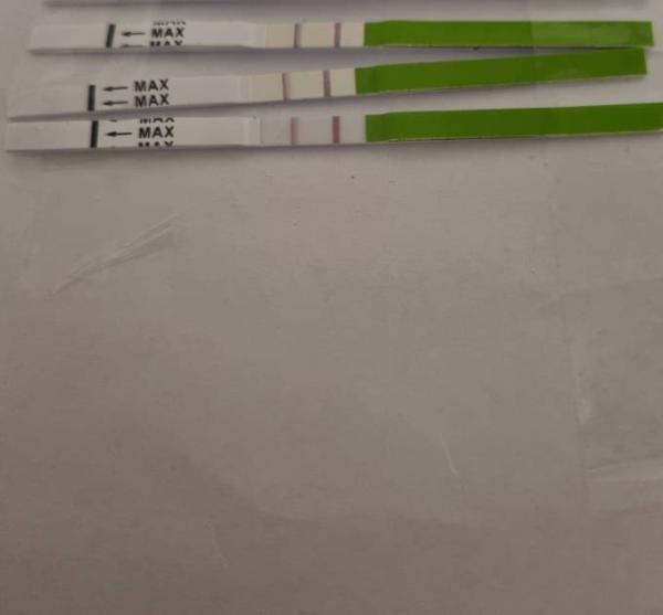 Bild zu Ovu Experten gefragt :) - Kinderwunsch - was tun, um schwanger zu werden?