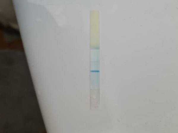 Bild zu Clearblue digital ohne WB - Kinderwunsch - was tun, um schwanger zu werden?