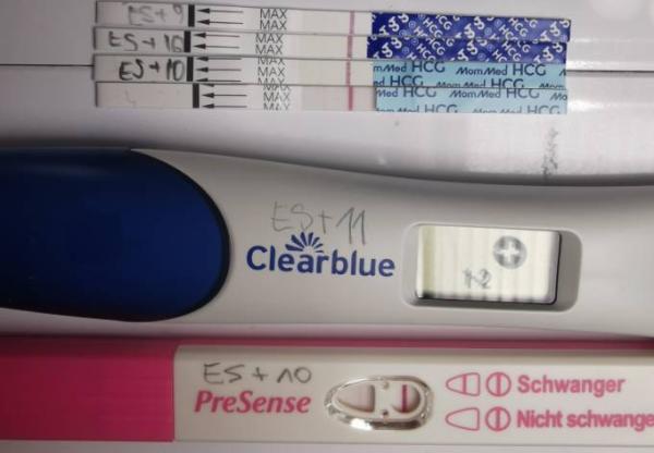 Bild zu Schwanger - Es+11 - Kinderwunsch - was tun, um schwanger zu werden?