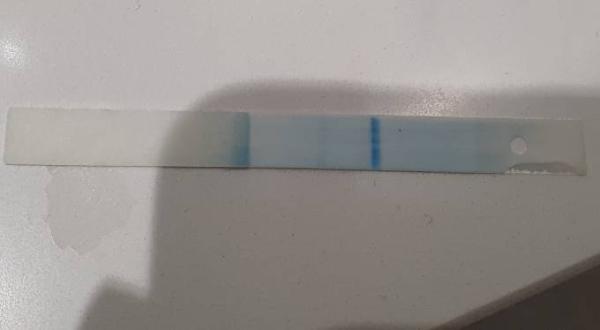 Bild zu Clearblue positiv? - Kinderwunsch - was tun, um schwanger zu werden?