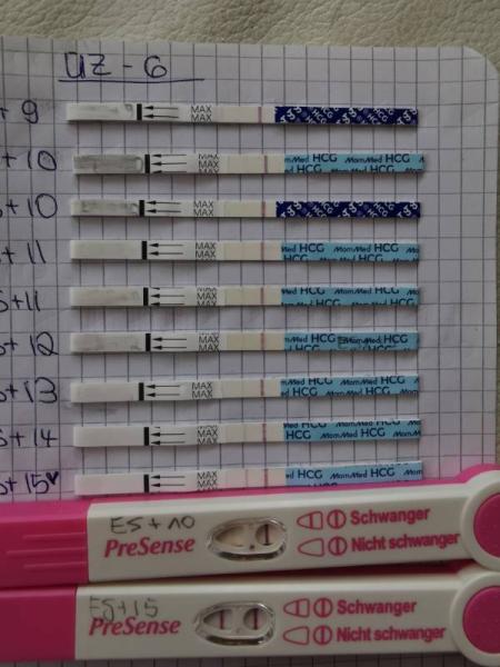 Bild zu NMT 🥰 - Kinderwunsch - was tun, um schwanger zu werden?