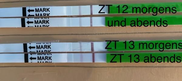 Bild zu Ovu positiv? - Kinderwunsch - was tun, um schwanger zu werden?