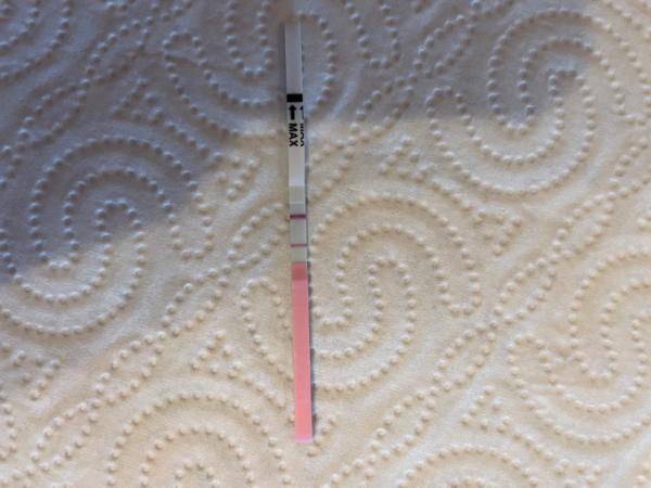 Bild zu Ovu positiv - Kinderwunsch - was tun, um schwanger zu werden?