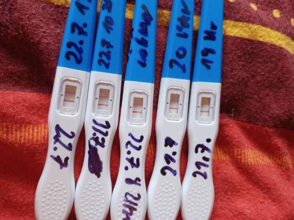 Bild zu Ovulationstest - Kinderwunsch - was tun, um schwanger zu werden?