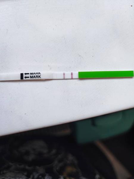 Bild zu Ovu Test - Kinderwunsch - was tun, um schwanger zu werden?