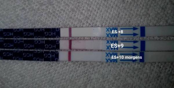 Bild zu SST - Kinderwunsch - was tun, um schwanger zu werden?