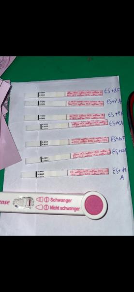 Bild zu SS tests- wird linie stärker? - Kinderwunsch - was tun, um schwanger zu werden?