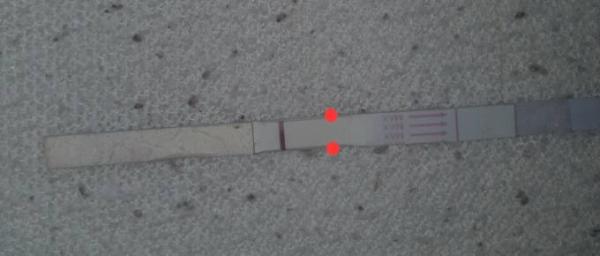 Bild zu Es+11 - Kinderwunsch - was tun, um schwanger zu werden?