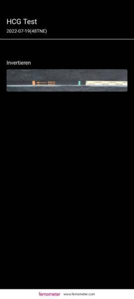 Bild zu Was seht ihr ? - Kinderwunsch - was tun, um schwanger zu werden?