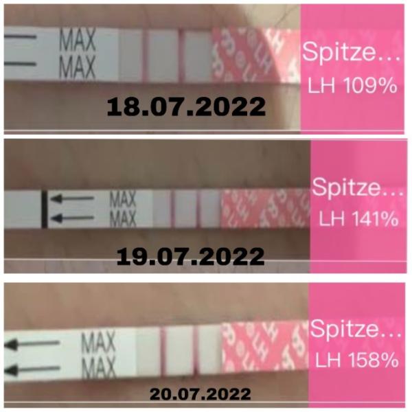 Bild zu Ovulationtest seit 3 Tage Positiv ( Pcos ) - Kinderwunsch - was tun, um schwanger zu werden?