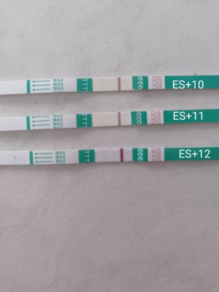 Bild zu Steigung - Kinderwunsch - was tun, um schwanger zu werden?