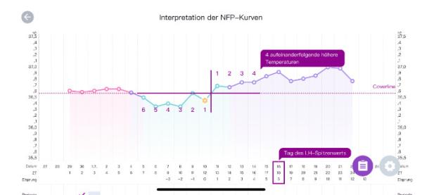Bild zu ES+12 sst negativ, noch Hoffnung? - Kinderwunsch - was tun, um schwanger zu werden?