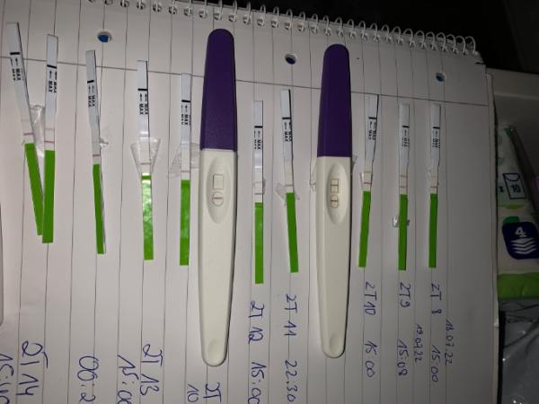 Bild zu Sehr durcheinander . Wann war mein Eisprung - Kinderwunsch - was tun, um schwanger zu werden?