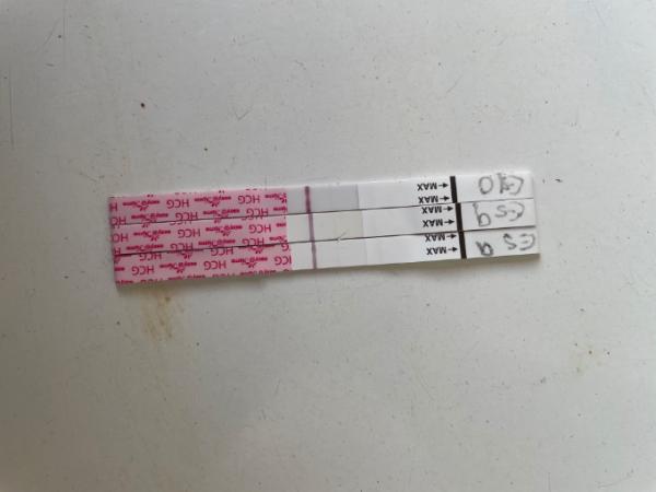 Bild zu Bin ich schwanger? - Kinderwunsch - was tun, um schwanger zu werden?