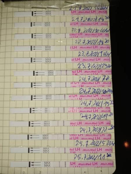 Bild zu Ovulationstest - Kinderwunsch - was tun, um schwanger zu werden?