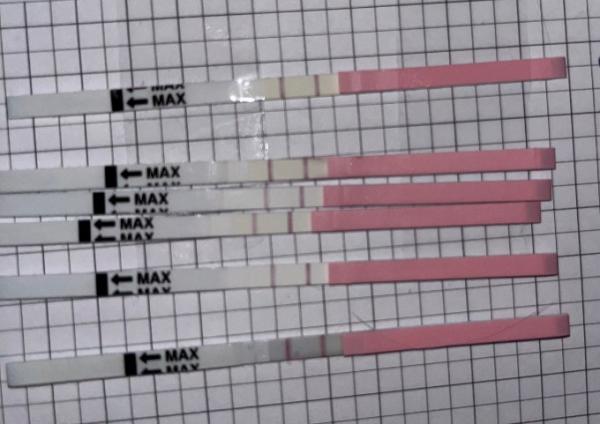 Bild zu Ovu Tests ständig positiv? - Kinderwunsch - was tun, um schwanger zu werden?