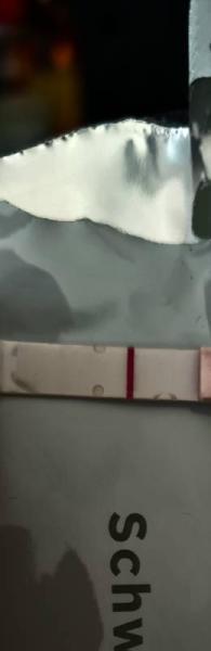 Bild zu Es +11 positiv??? - Kinderwunsch - was tun, um schwanger zu werden?