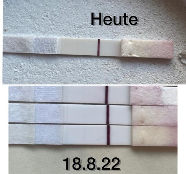 Bild zu Nochmal eure meinung - Kinderwunsch - was tun, um schwanger zu werden?