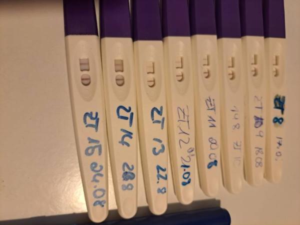 Bild zu Ovulationstest - Kinderwunsch - was tun, um schwanger zu werden?