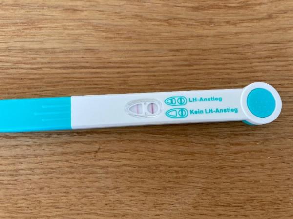 Bild zu Ovu-Test - Kinderwunsch - was tun, um schwanger zu werden?