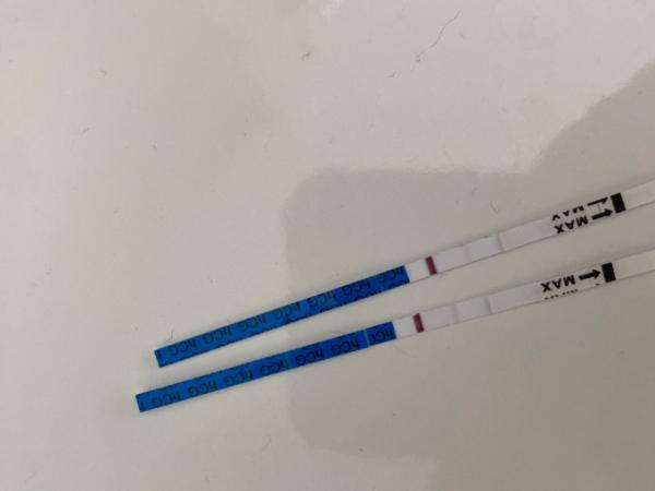 Bild zu Schwanger? - Kinderwunsch - was tun, um schwanger zu werden?