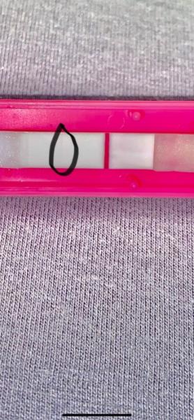 Bild zu Ist der Test positiv? - Kinderwunsch - was tun, um schwanger zu werden?