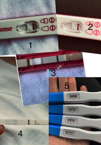 Bild zu Völlige Verwirrung… SST, Ovus… - Kinderwunsch - was tun, um schwanger zu werden?